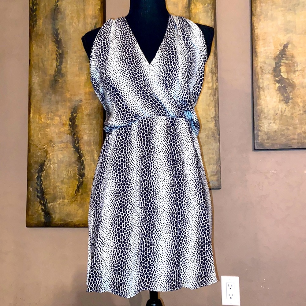 Parker silk dress